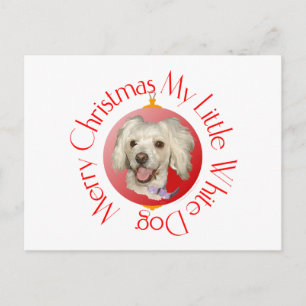 Frohe Weihnachten Kleiner Weißer Hund Pudel / Bich