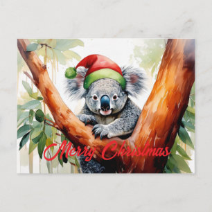 Frohe Weihnachten Koala sitzt in Eukalyptusbaum