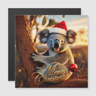 Frohe Weihnachten Koala sitzt in Eukalyptusbaum Magnetkarte
