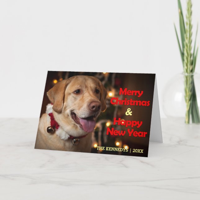 Frohe Weihnachten - Kragen Labrador retrievers (Vorderseite)