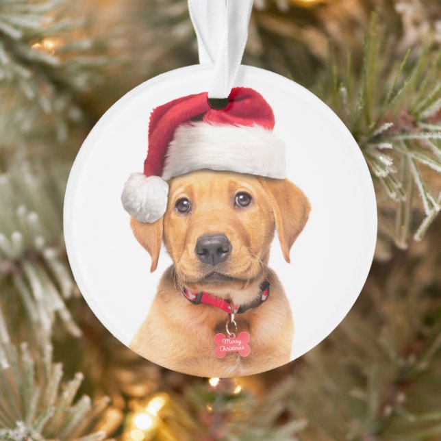 Frohe Weihnachten Labrador Welpe in Weihnachtsmann Ornament (Baum)