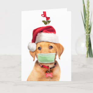 Frohe Weihnachten Labrador-Welpe mit Gesichtsmaske