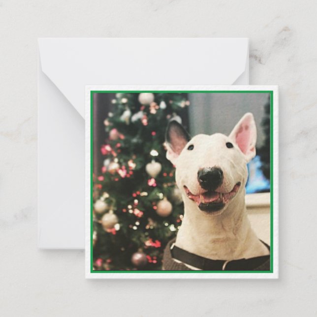 Frohe Weihnachten lächeln Bull Terrier Mitteilungskarte (Vorderseite)