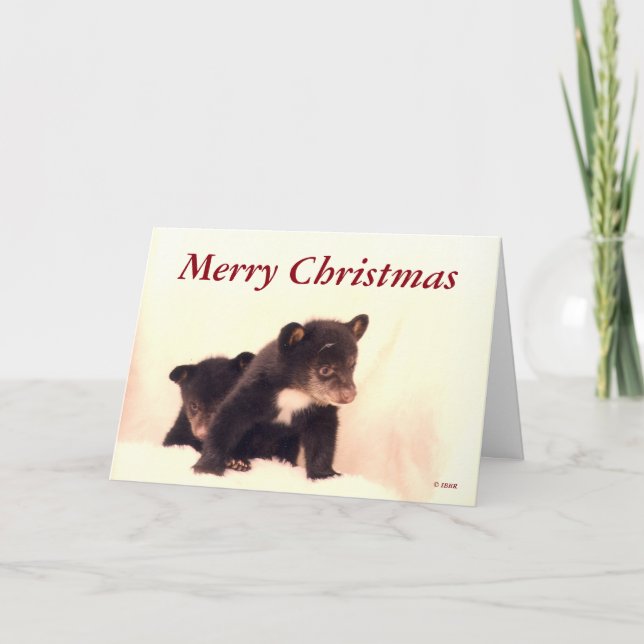 Frohe Weihnachten - Lakota & Paiute Grußkarte (Vorderseite)