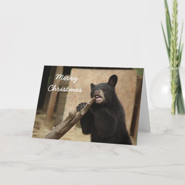 Frohe Weihnachten - Lanikai (Vorderseite)