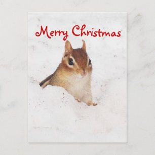 Frohe Weihnachten Little Snowy Chipmunk Postcard