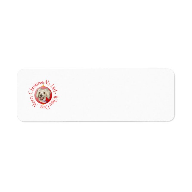 Frohe Weihnachten Little White Dog Poodle / Bichon (Vorne)