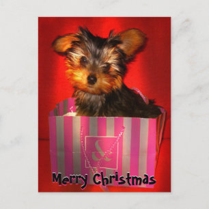 Frohe Weihnachten Little Yorkie individuell anpass
