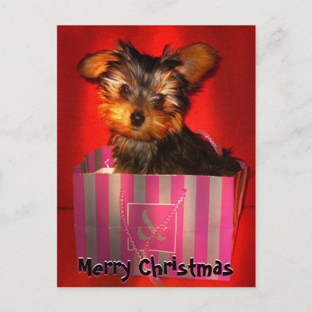 Frohe Weihnachten Little Yorkie individuell anpass (Vorderseite)