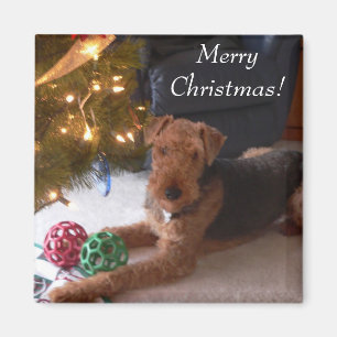 Frohe Weihnachten! Magnet