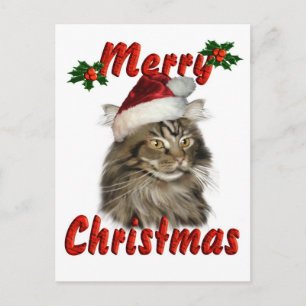 Frohe Weihnachten Maine Coon Cat