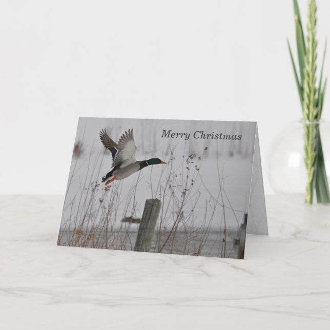 Frohe Weihnachten Mallard Duck Card von Janz (Vorderseite)
