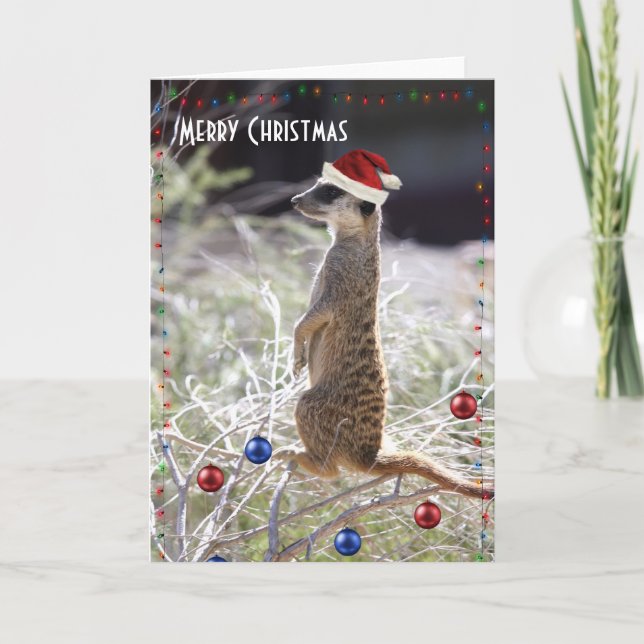 Frohe Weihnachten Meerkat (Vorderseite)