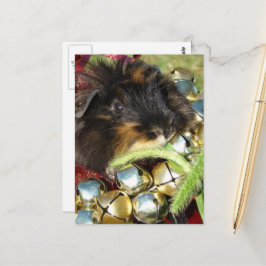 Frohe Weihnachten Meerschweinchen Postkarte