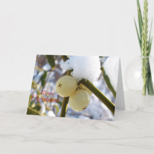 Frohe Weihnachten (Mistletoe Berries)