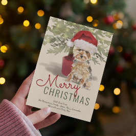 Frohe Weihnachten Niedlich Yorkshire Terrier