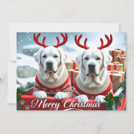 Frohe Weihnachten Niedliche Gelbe Labradore Person