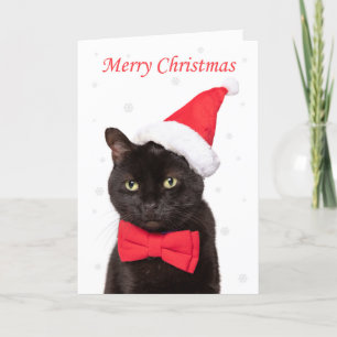 Frohe Weihnachten Niedliche Katze in Weihnachtsman