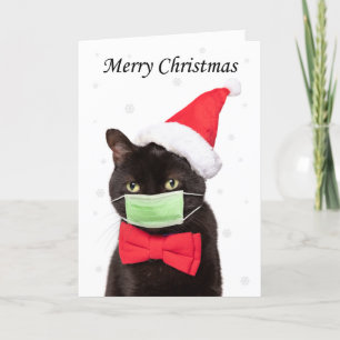 Frohe Weihnachten Niedliche Katze in Weihnachtsman