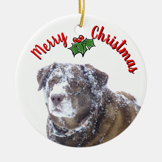 Frohe Weihnachten personalisieren Haustier Foto Vo Keramik Ornament (Vorne)