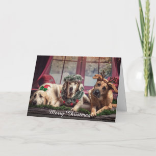 Frohe Weihnachten Personalisieren Sie Haustier-Fot