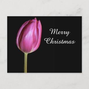 Frohe Weihnachten Pink Tulip Blume Foto Floral