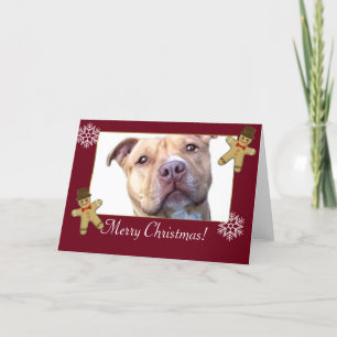 Frohe Weihnachten Pitbull Hund