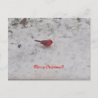Frohe Weihnachten! Postkarte