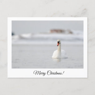 Frohe Weihnachten! Postkarte