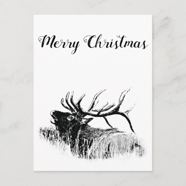 Frohe Weihnachten Postkarte (Vorderseite)
