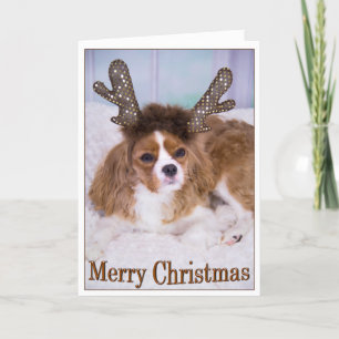 Frohe Weihnachten Raindeer Cavalier King Charles