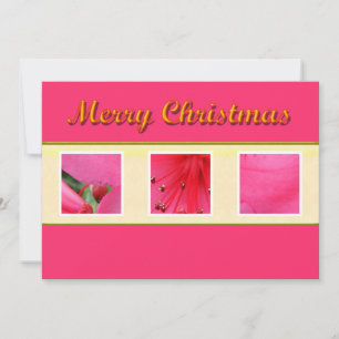 Frohe Weihnachten rosa Blumen Grußkarte