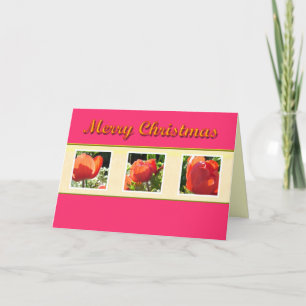 Frohe Weihnachten rote Blumen Grußkarte.