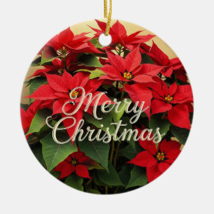 Frohe Weihnachten Rote Weihnachtssterne Keramik Ornament