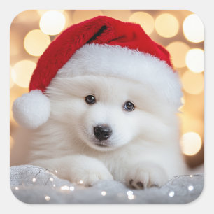 Frohe Weihnachten Samoyed Welpe Hund mit Weihnacht Quadratischer Aufkleber