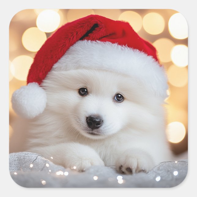 Frohe Weihnachten Samoyed Welpe Hund mit Weihnacht Quadratischer Aufkleber (Vorderseite)
