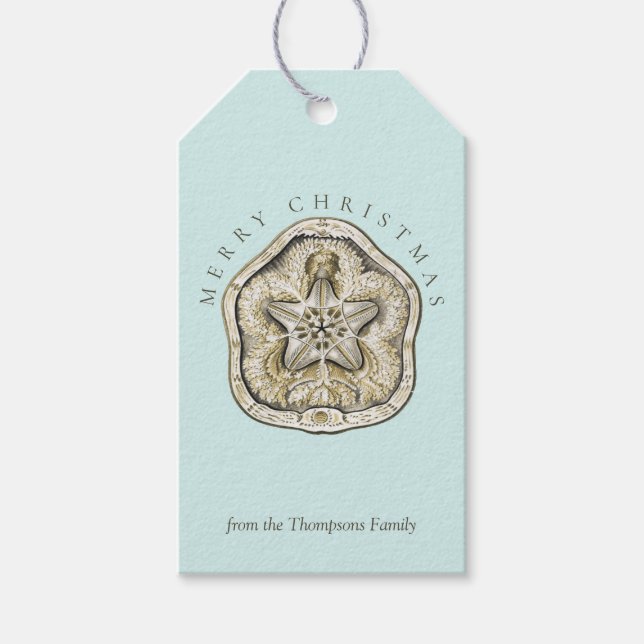 Frohe Weihnachten Sand Dollar Türkis Küste Geschenkanhänger (Vorderseite)