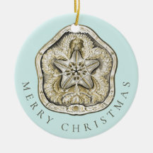 Frohe Weihnachten Sand Dollar Türkis Muster