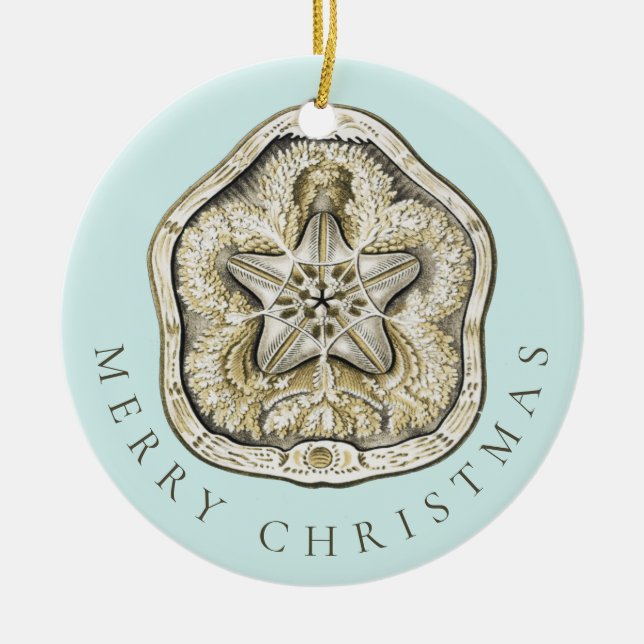 Frohe Weihnachten Sand Dollar Türkis Muster Keramik Ornament (Vorne)