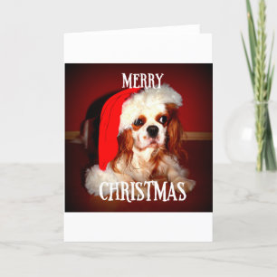 frohe weihnachten santa cav