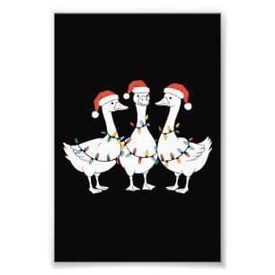 Frohe Weihnachten Santa Hut Enten Feiertag Xmas En Fotodruck