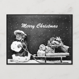 Frohe Weihnachten Santa Katze Weihnachten Postkarte