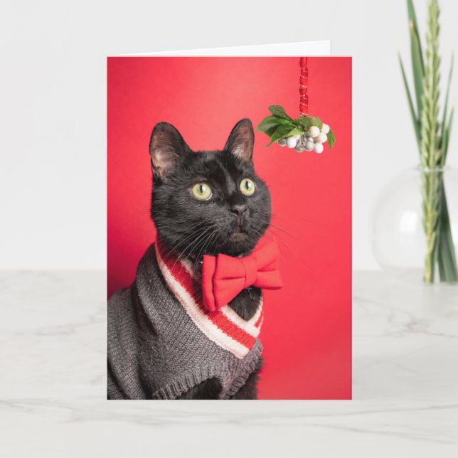 Frohe Weihnachten schöne Katze mit Mistletoe Spaß (Vorderseite)