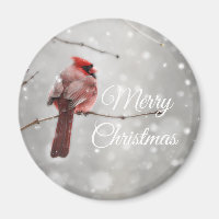 Frohe Weihnachten Schöner Kardinal
