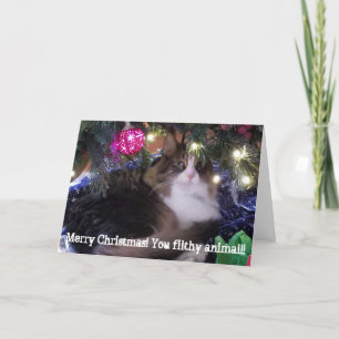 Frohe Weihnachten Sie schmutzig Tier Aloof Katze