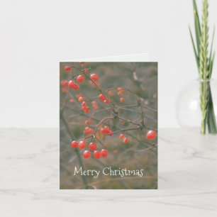 Frohe Weihnachten Sparkling Red Berries Nature Fot