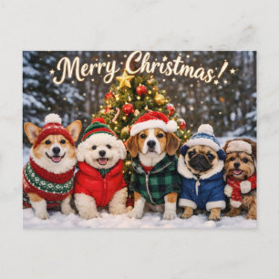 Frohe Weihnachten Süße Hunde und Weihnachtsbaum  Postkarte