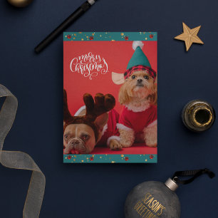 Frohe Weihnachten Süßer Hund Weihnachten