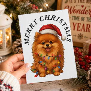 Frohe Weihnachten Süßer Pomeranian Hund Santa Hut