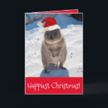 Frohe Weihnachten und Glück Neujahr Quokka Beach R Karte<br><div class="desc">Der Quokka ist das glücklichste Tier der Welt! Wer wünscht besser Ihren Familien und Freunden ein frohes Weihnachtsfest und ein glückliches Neues Jahr? Das Foto dieses äußerst niedlichen und festlichen Quokkas wurde an einem unberührten Strand auf der Rottnest Insel, einem der beliebtesten Urlaubsziele in Perth, Western Australien, aufgenommen. Wenn Sie...</div>